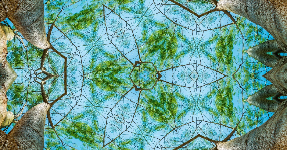 dynamic systems theory